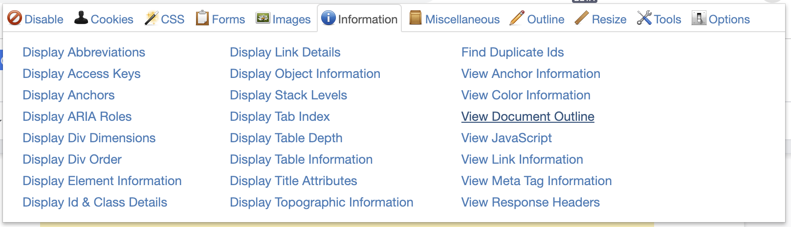 screenshot of Web Developer Information tab showing 3 columns of display options.