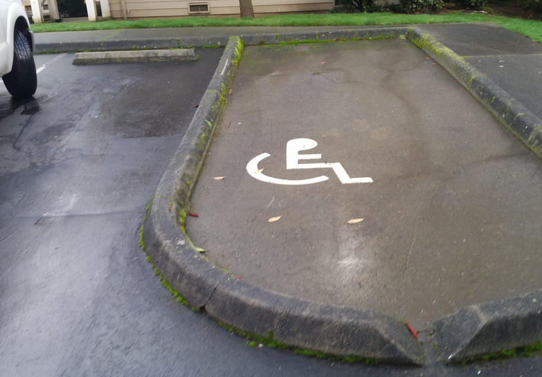 A parking space that is marked as accessible is surrounded by a curb with no cuts.