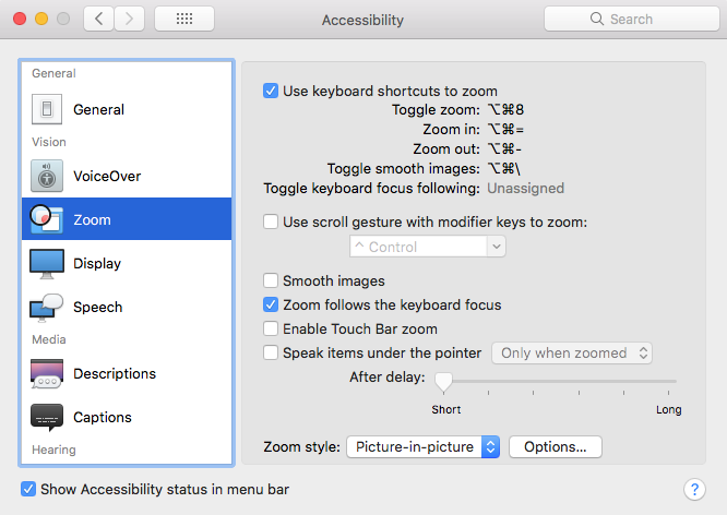 macOS screen zoom settings with Picture-in-picture option selected